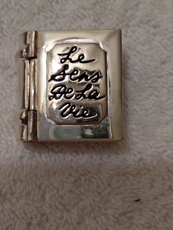 Carolee Other - Silver Tone 'Le Sens De La Vie' Book Pill Case